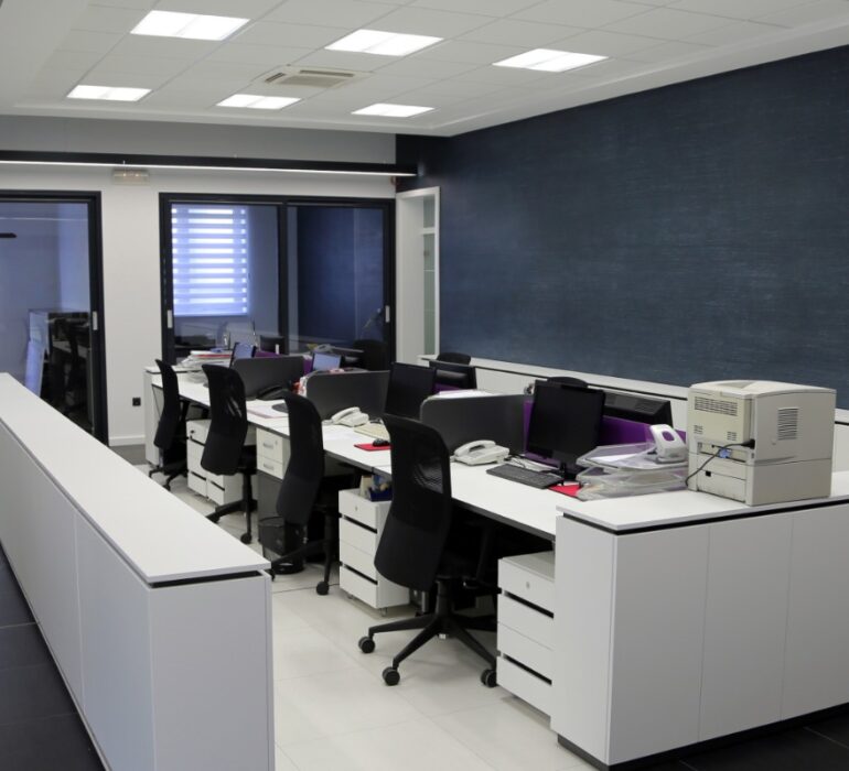 Open-plan office with sound panels and plant decor