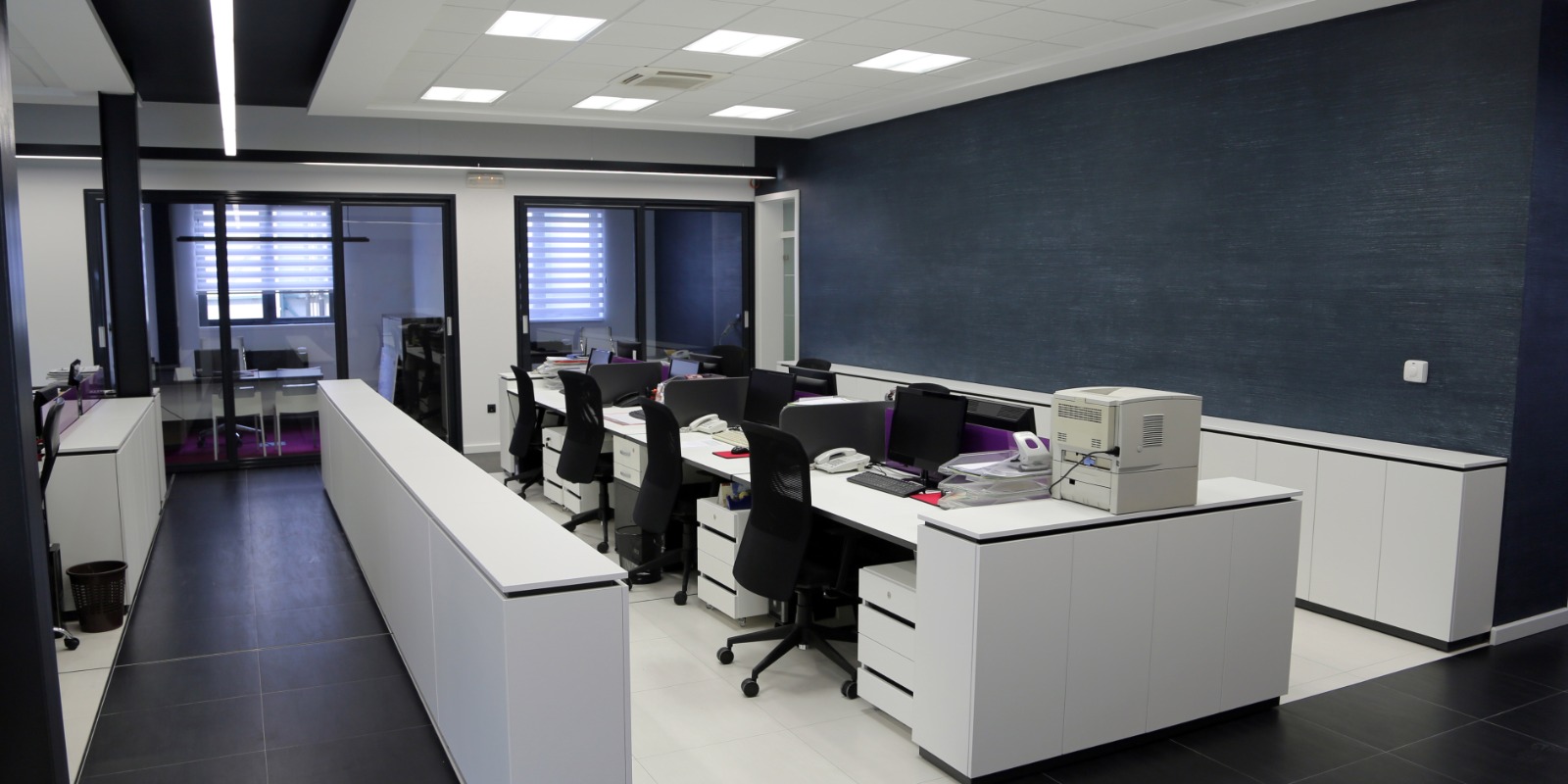 Open-plan office with sound panels and plant decor